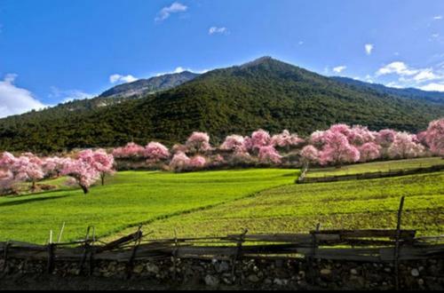 Bu步之：回忆青春