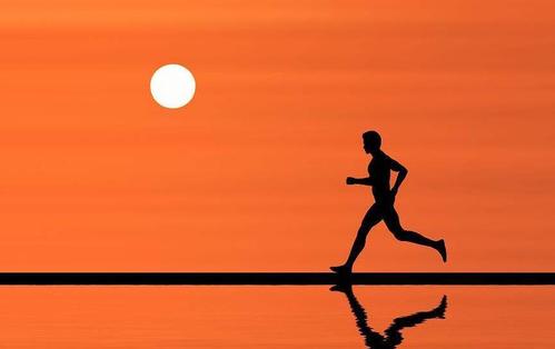 不要努力工作，滚蛋