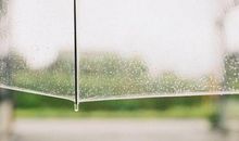 描写雨景的好段