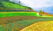 只要伏下身子，就能捡到金子