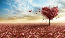 至少，让努力与你有关