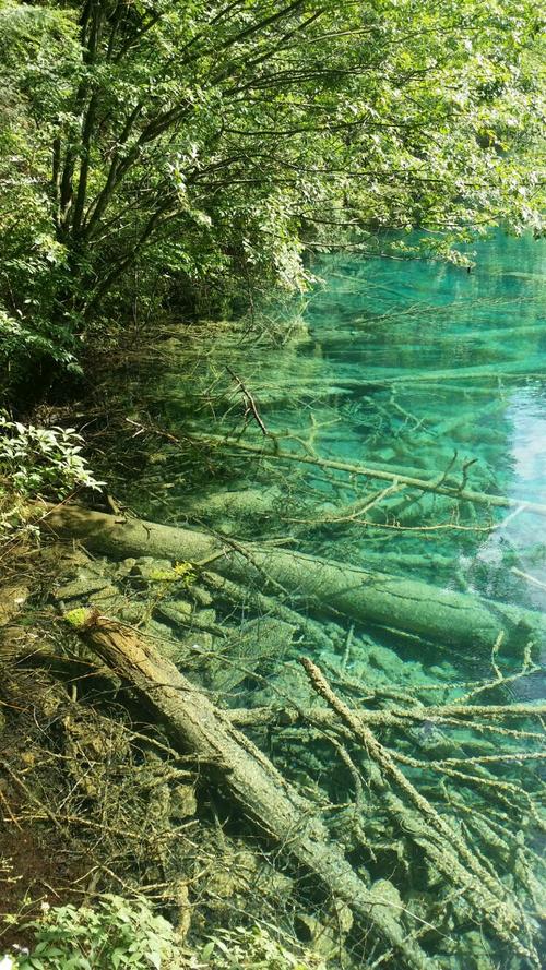 海子：树根之河