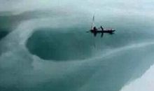 有关白仙鹤长了个秃尾巴的歇后语