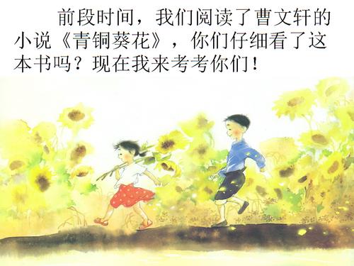 青铜向日葵主要内容