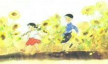 青铜葵花主要内容