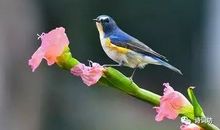 叶梦得：贺新郎