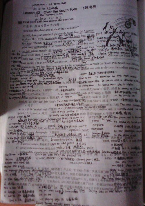 没有成功的标准答案