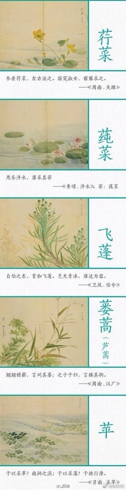 漂亮的句子描述植物