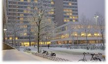 分析上大学和不上大学的利与弊