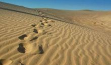 你的奋斗只是一个笑话