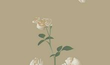 惊艳古风的优美句子