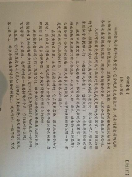 松树的好单词和句子