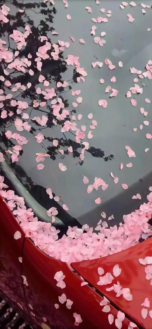 经典语录：愿您有勇气向前迈进，有冷静地后退一步