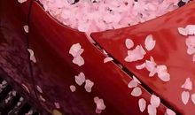 经典语录：愿你有前进一寸的勇气，亦有退后一尺的从容