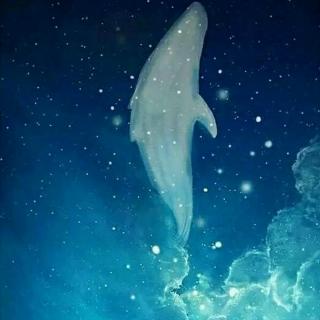 所谓生活只是积累的问题