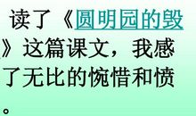 圆明园的毁灭读后感1000字