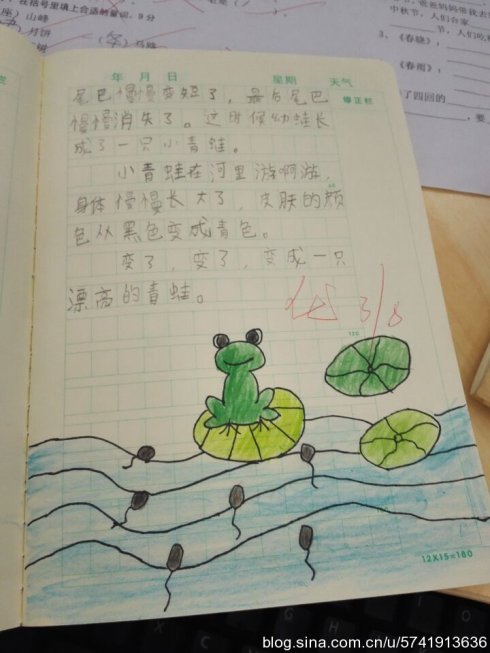 关于小动物的一段