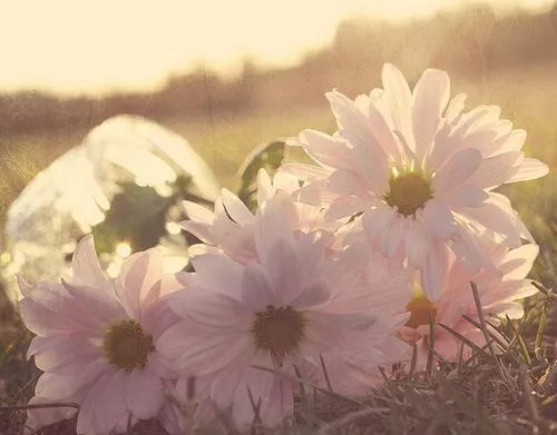 对于变老的自我