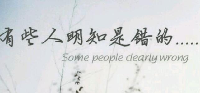 故意在句子中犯