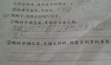 用若 无论 也造句