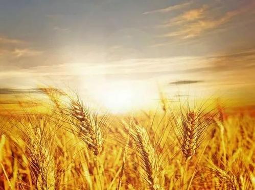 麦田守望者》中的经典段落