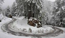 《雪路》观后感