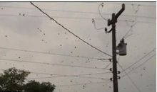 有关蜘蛛拉网的歇后语