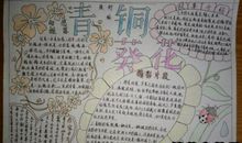 青铜葵花读后感500字