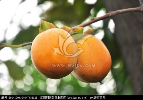 一段很好的描述秋季水果