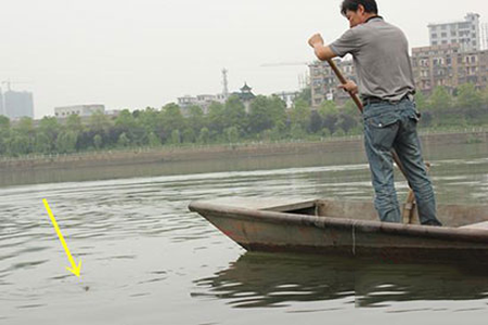 韩少功：寻找船主的船