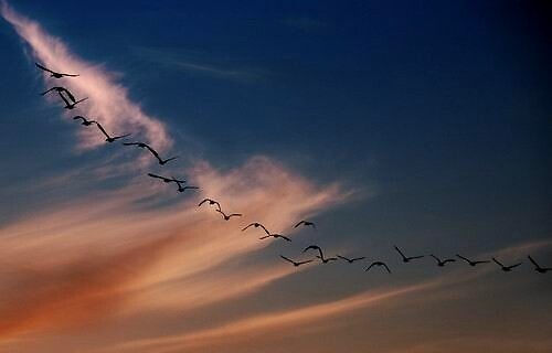 姜Ku：丁卫东，去吴松佐