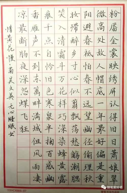 吴文英：对不起，我很慢