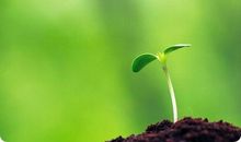 张晓风：敬畏生命