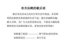 有关毛驴的歇后语