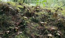 不是因为有了机会才争取，而是因为争取了才有机会