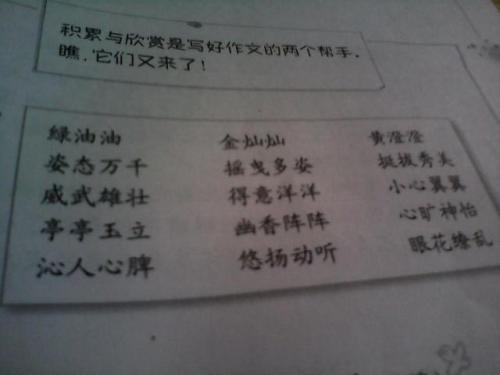 描述树木的好单词和句子