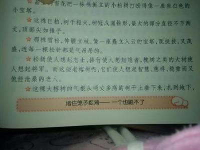 乌龟的好词和句子