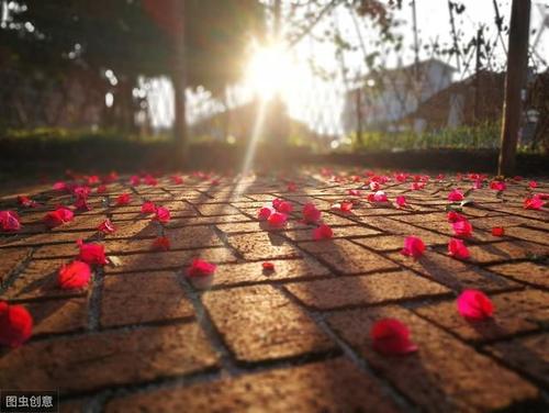 你的脾气就是你的运气