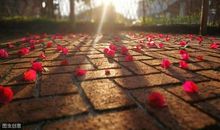 你的脾气，就是你的运气