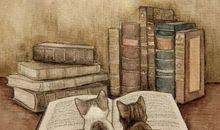 12个读书好习惯：享受阅读，而不是苦苦挣扎