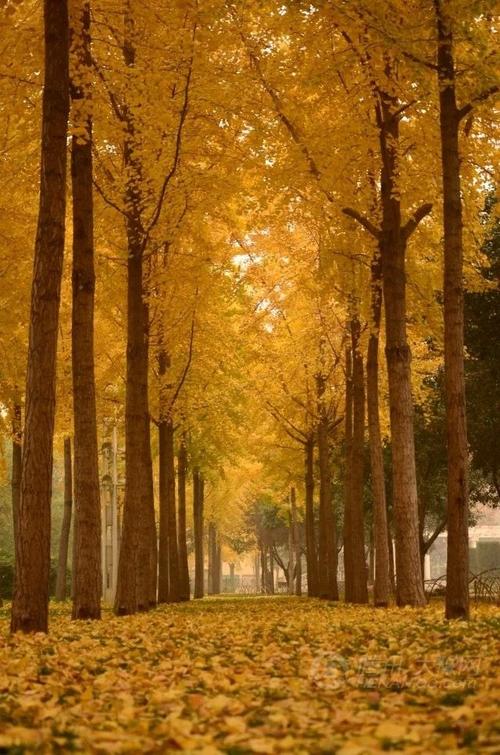 如果生活只是初次见面