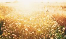 你想要的，总会在合适的时候到来