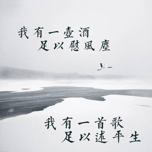 关于生活选择的陈述