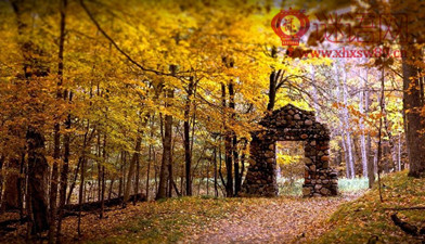 一个很好的部分描述了秋天的心情