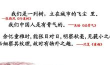 张晓风：行道树