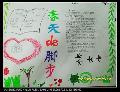 关于春天的美丽陈述