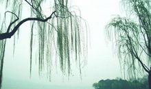 描写西湖风景的好段