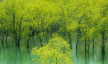 经典语句：美与可爱，有心皆懂