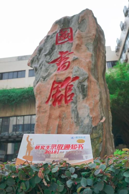 我输了高考，但我仍然过得很开心