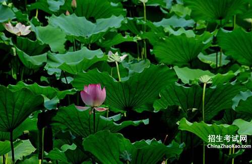 描述夏静的话语